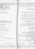 Ян Владимир Юрьевич:фото сертификатов, диплома