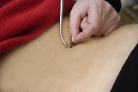 АКЦИЯ «Здоровье на крыльях пчелы». Курс апитерапии со скидкой!