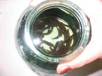 АКЦИЯ: «Гирудотерапия со скидкой»